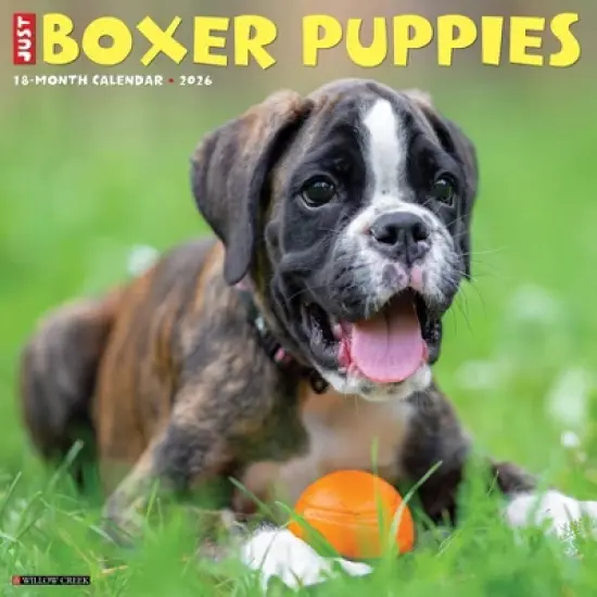 Willow Creek Press 2026 Boxer Puppies Wall Calendar image {5}
