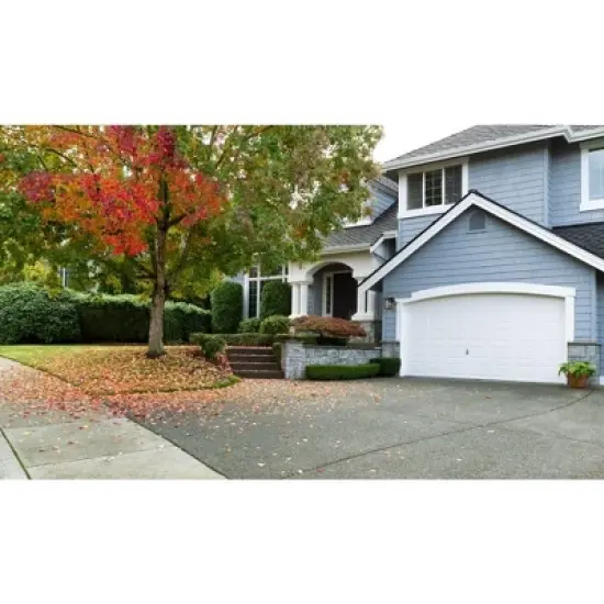 Z-Lite Brookside 1 - Light Lantern in  Black image {2}