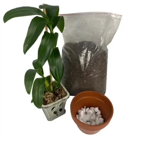 UOFFICE 14 Cubic Feet Polystyrene Packing Peanuts for Packaging, Shipping, and Void Fill image {10}