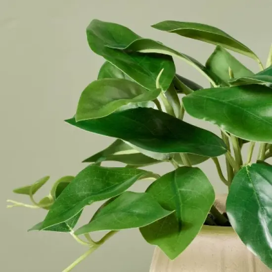 8" Faux Mini Trailing Hoya Plant - Hearth & Hand&trade; with Magnolia image {2}