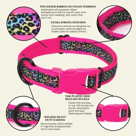 Country Brook Petz Deluxe Ribbon Dog Collar, Bright Spirits Collection image {2}