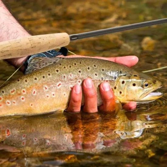 Leisure Sports Fly Fishing Starter Kit - 18Pcs, Black image {3}