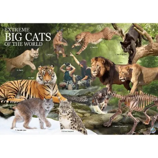 WILD! Environmental Science Extreme Big Cats of the World image {4}