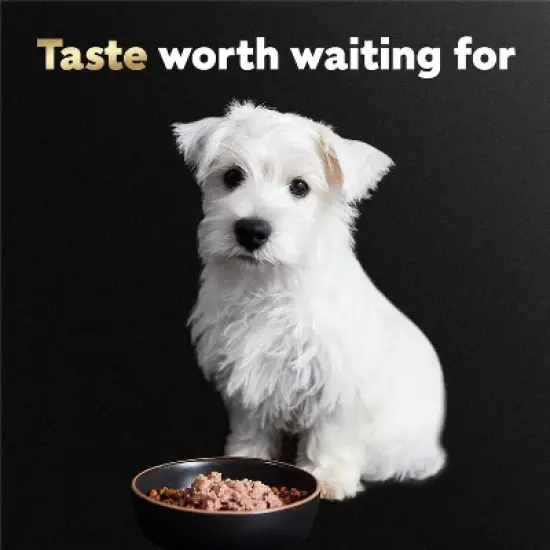 Cesar Classic Loaf in Sauce Chicken, Gravy and Beef Flavor Small Breed Puppy Wet Dog Food - 3.5oz image {6}