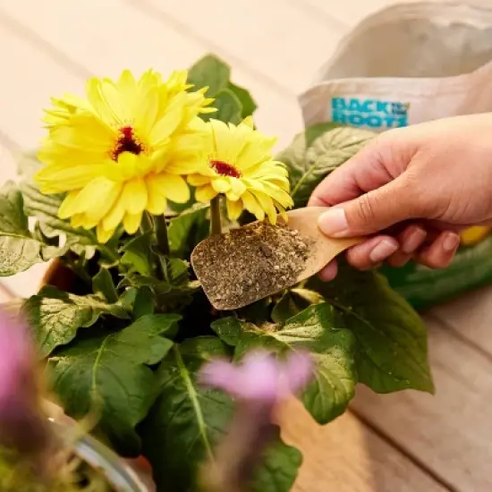 Back to the Roots 1.5lb Organic Plant Food All Purpose Premium Blend: Nutrient-Rich for Indoor & Outdoor Gardens, Non-Synthetic image {6}