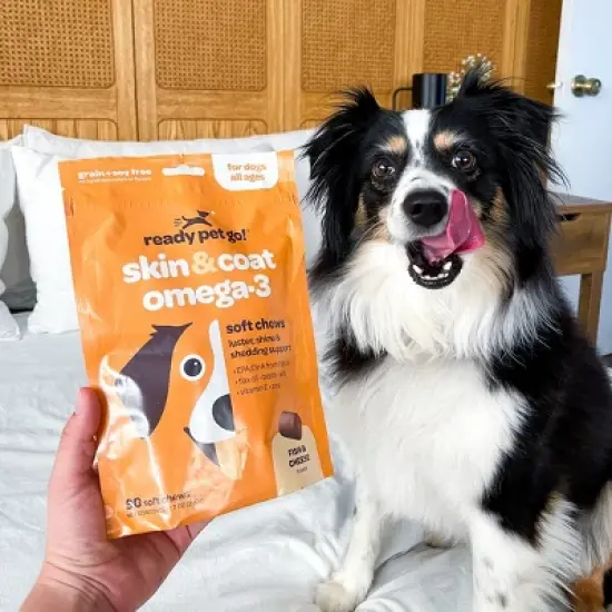 Ready Pet Go Skin & Coat Omega-3 Health Chews, Omega-3 Fish Oil for Dogs Skin & Coat and Heart & Joint Support, Fish & Cheese Flavor, 60 or 90ct image {3}