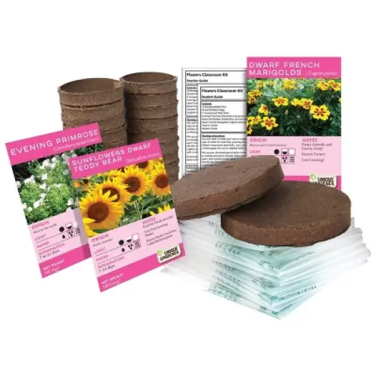 Silver Circle Growing Flowers Classroom Kit image {2}
