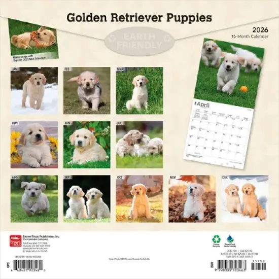 BrownTrout Golden Retriever Puppies 2026 12"x24" Hanging Square Wall Calendar Plastic-Free image {1}
