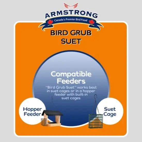 Armstrong Wild Bird Food Bird Grub Suet Cake, 10.6oz (Pack of 12) image {5}