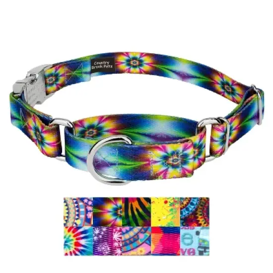 Country Brook Petz Martingale Dog Collar with Premium Buckle - Groovy Collection image {4}