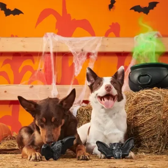 BARK Halloween Super Chewer Batty Vladdy Dog Toy image {2}