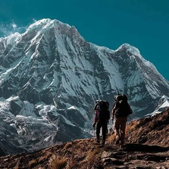 Amavara SPF 50 Tinted Mineral Lotion - 1.65 fl oz image {2}