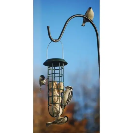 Wildlife Sciences Insects & Nuts Suet Balls For Wild Birds, Melt Resistant Formula (4 Balls Per Pack) image {2}