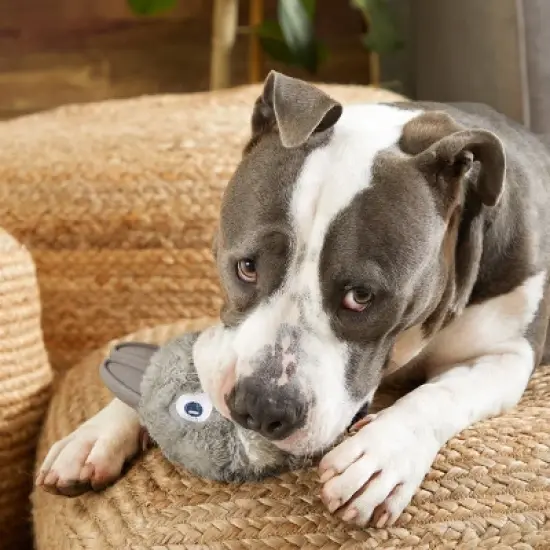 BARK Super Chewer Rubber Rabbit Dog Toy - Hare Raiser image {2}