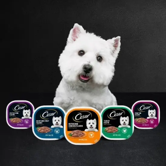 Cesar Filets in Gravy Variety Pack Small Breed Wet Dog Food - 3.5oz/12ct image {9}