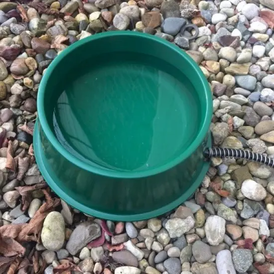 Farm Innovators QT-1 1 Quart Electric Heated Pet Water Bowl with Thermostatic Control and Anti Chew Cord Protector, 25 Watt, Green image {2}