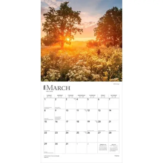 BrownTrout Psalms 2026 12"x24" Hanging Square Wall Calendar Plastic-Free image {2}