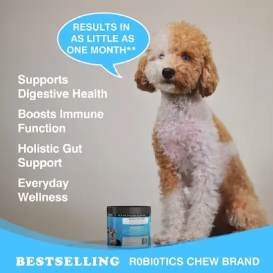 DynoPet Digestive Probiotic Chews Supplement for Dogs - Bacon Flavor - 80 Soft Chews image {4}