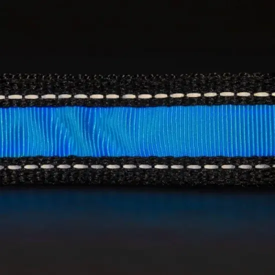 Life+Gear Rechargeable Glow Dog Collar - L image {6}