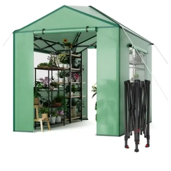 Portable Greenhouse, Instant Pop-Up Plant Gardening Green House Canopy, Outdoor Grow Tent with Zippered Doors, Roll-Up Side Windows image {7}