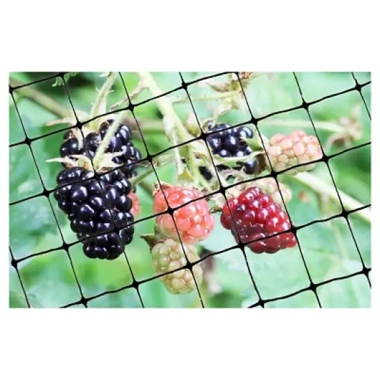 100'x14' Standard Bird Netting - Bird-X image {2}