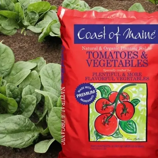 Coast of Maine OMRI Listed Tomato and Vegetable Plant Potting Soil Compost Blend for Container Gardens and Flower Pots, 20 Quart Bag (2 Pack) image {2}
