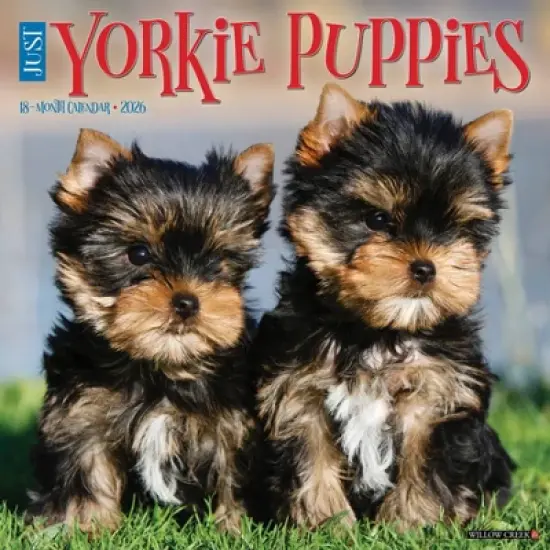 Willow Creek Press 2026 Yorkie Puppies Wall Calendar image {5}