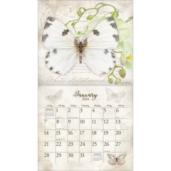 Lang 2024 Wall Calendar 24"x12" Butterflies image {1}
