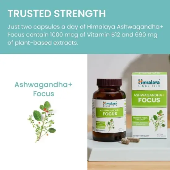 Himalaya Ashwagandha+ Focus with Ashwagandha, Bacopa, Rosemary & Green Tea for Memory, 60 Capsules, 1 Month Supply, Vegan, Gluten Free image {5}