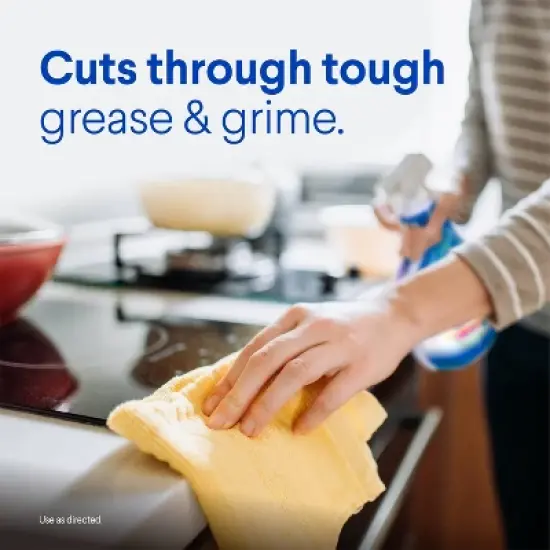 Clorox Rain Clean Scent Clean-Up All Purpose Cleaner with Bleach Spray Bottle - 32 fl oz image {5}