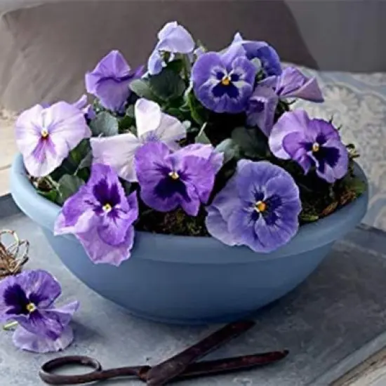 The HC Companies 18 Inch Sun Fade and Crack Withstanding Leakproof Plastic Plain Semi Circular Garden Bowl Planter, Chocolate Brown (4 Pack) image {5}