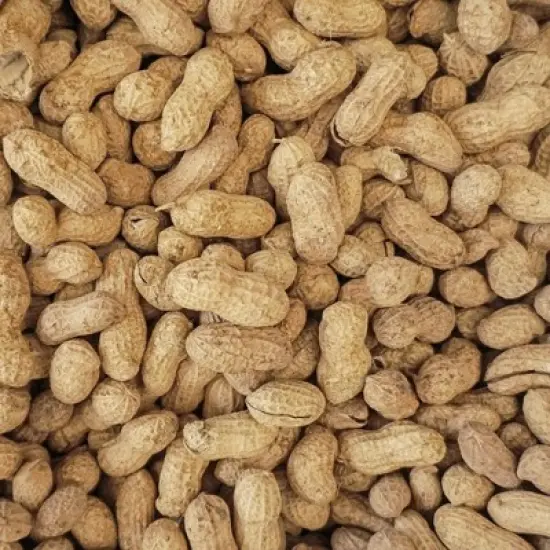 Wingfield Farm Virginia In-Shell Peanuts, Feed Wild Animals, 25 Pound Bag image {1}