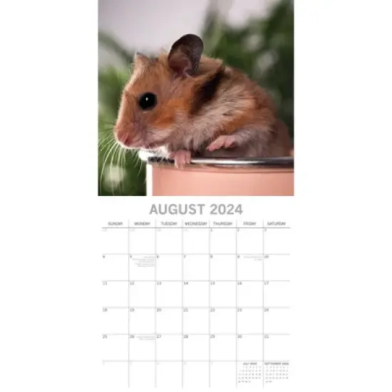 The Gifted Stationery 2024 Square Wall Calendar, Hamsters, 16-Month Animals Theme with 180 Reminder Stickers (12 x 12 In) image {2}