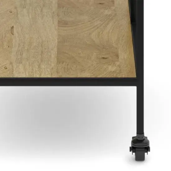 Lintz Bar Cart Natural - WyndenHall image {5}