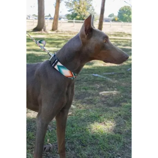 Country Brook Petz HossFit Jr Wide Deluxe Dog Collar - Chevron and Arrows Collection image {2}