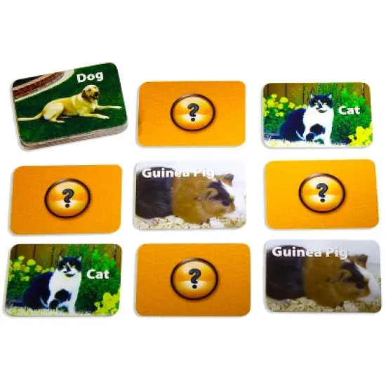 Stages Learning Materials Pets Photographic Memory Matching Game, Pack of 3 image {4}