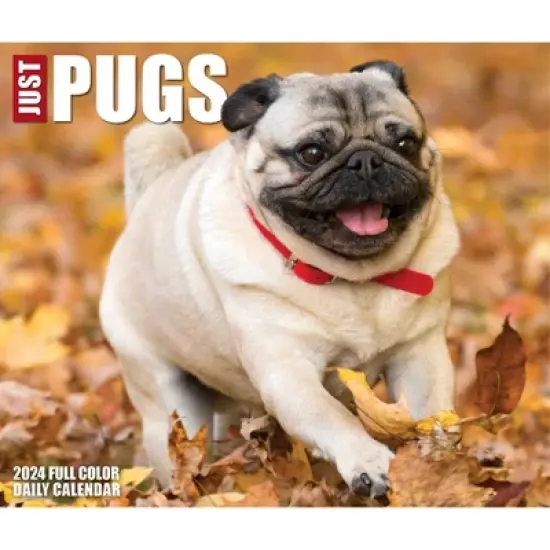 Willow Creek Press 2024 Daily Desk Calendar 5.2"x6.2" Pugs image {4}