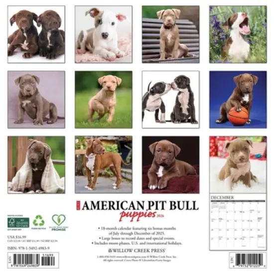 Willow Creek Press 2026 American Pit Bull Terrier Puppies Wall Calendar image {1}