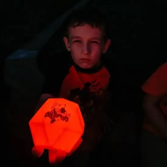 Starlux Games Wizards & Werewolves - 23pc image {9}