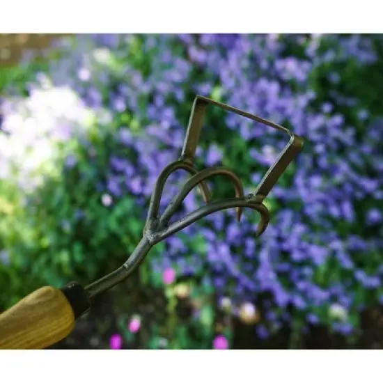 DeWit Cultivator Stirrup Hoe &ndash; 2-in-1 Tool for Weeding & Soil Cultivation image {2}