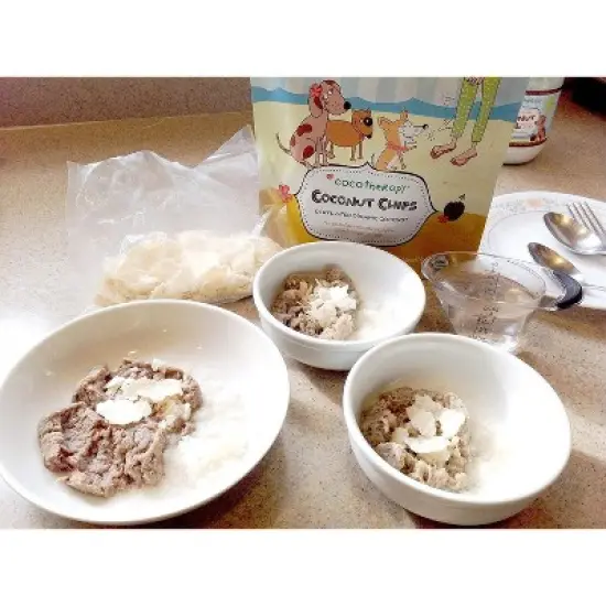 CocoTherapy CTT-0002-6 Coconut Chips (1 Pouch), 6 oz image {2}