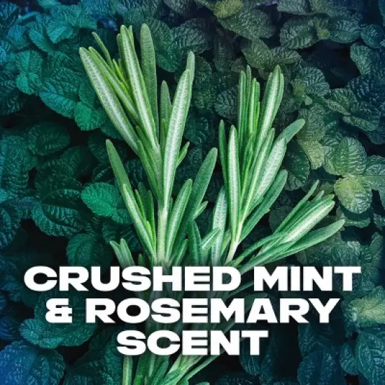 Axe Phoenix Body Wash - 32 fl oz image {5}