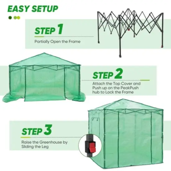 EAGLE PEAK 7'x7' Pop up Greenhouse with 2 Foldable Shelves, Zipper Entry Door and 3 Mesh Windows, Green image {1}