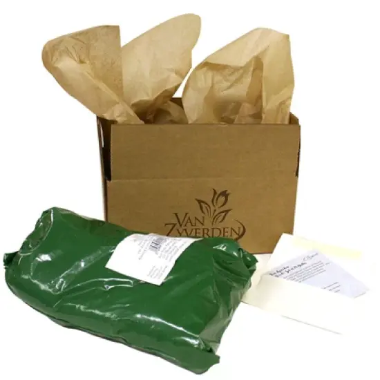 Bearded Iris Victoria Falls Set of 3 Roots - Blue - Van Zyverden image {2}