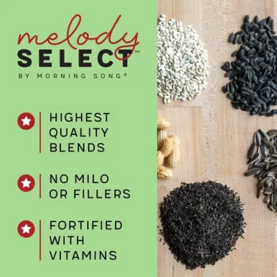 Melody Select 4.5lb Nut, Fruit & Berry Wild Bird Food image {4}