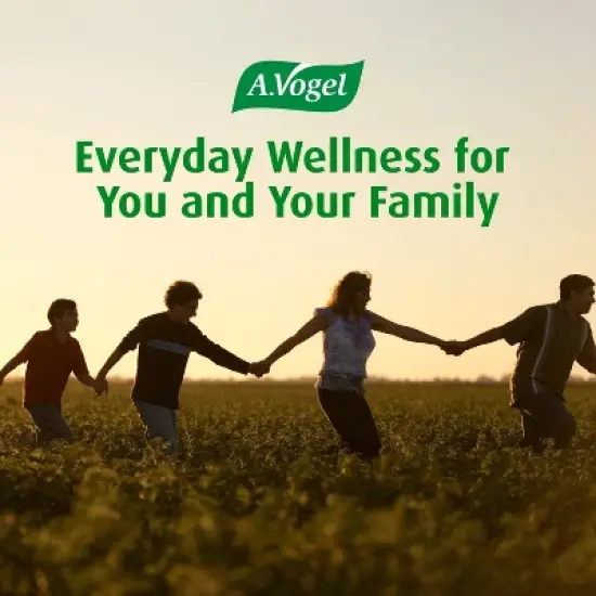 A. Vogel Echinaforce Organic Echinacea Liquid Extract &ndash; Fresh Whole Plant Herbal Supplement &ndash; Natural Immune Support Drops &ndash; Daily Wellness &ndash; 1.7 oz image {9}