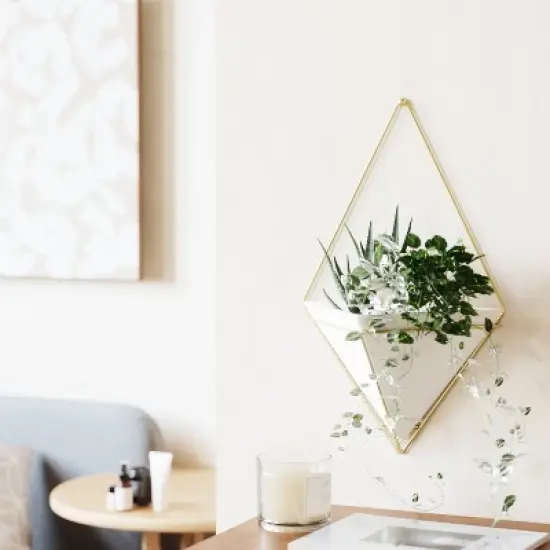 Trigg Wall Display Planter White/Brass - Umbra image {7}