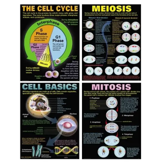 Cells Teaching Poster Set - McDonald Publishing: Biology & Science Learning Posters, Grades 3-12, Teacher Created Resources image {5}