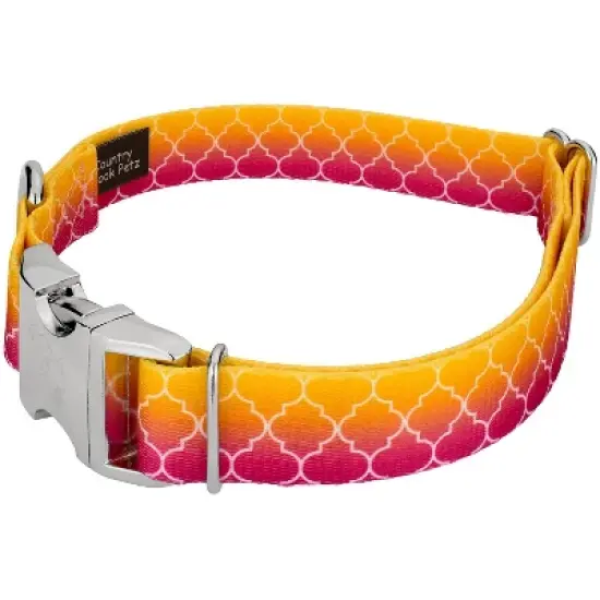 Country Brook Petz Premium Fabulous Ombre Dog Collar image {1}