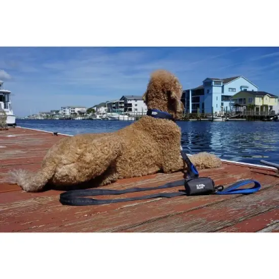 Black Rhino Ultra Soft Neoprene Padded Dog Collar - X Large - Black image {3}